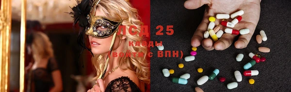 стафф Володарск