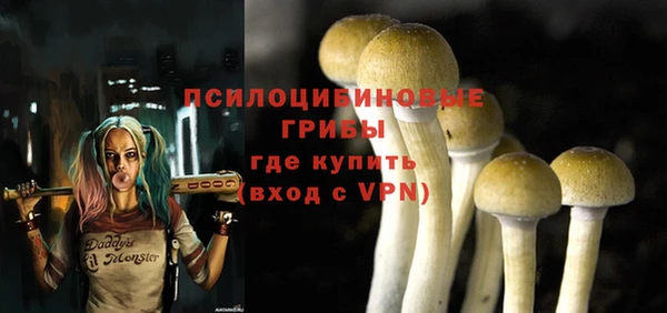 амфетамин Богданович