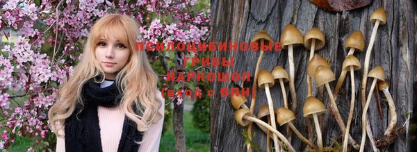 круглые Верея