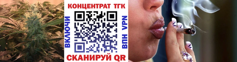 закладки Ефремов ТГК концентрат
