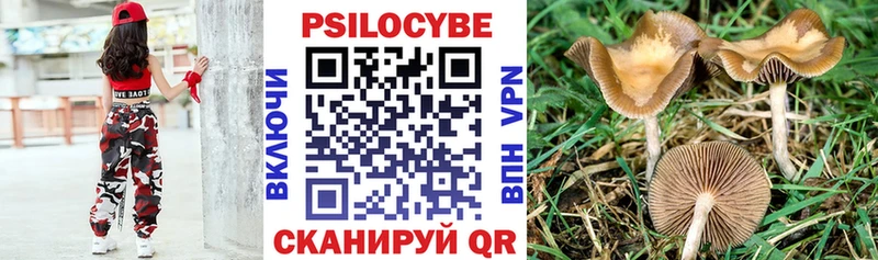 как найти закладки  Ефремов  Псилоцибиновые грибы Psilocybe 